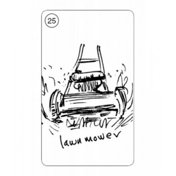 Carrot Cards Taro Kortos Schiffer Publishing